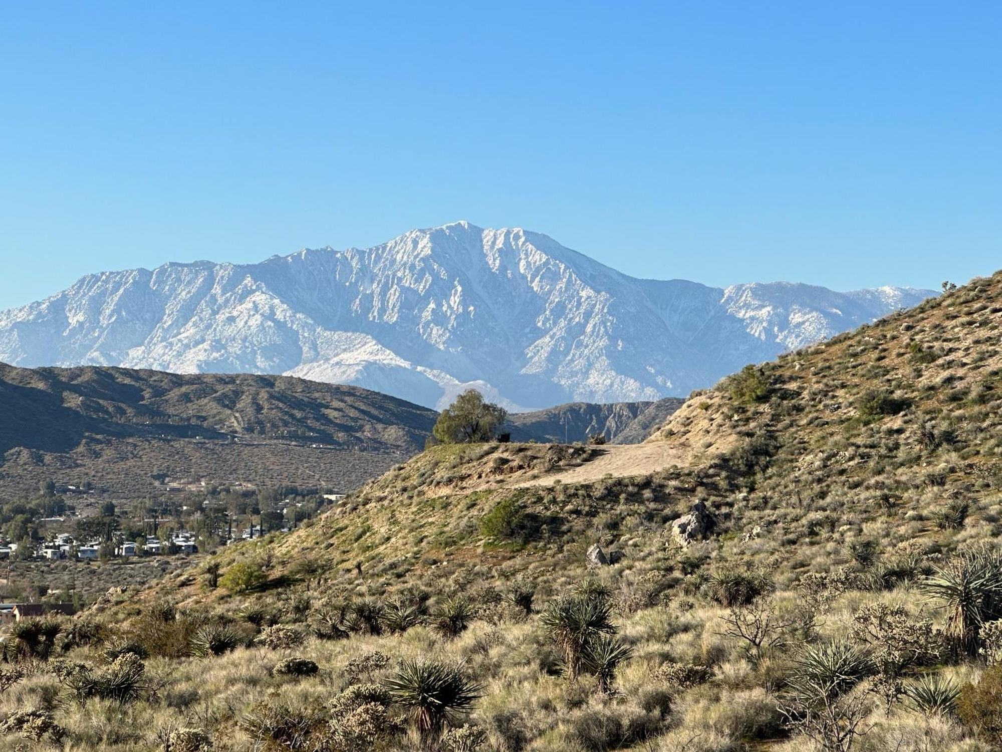 Two Pepper Ranch - A Desert Oasis Morongo Valley Ngoại thất bức ảnh
